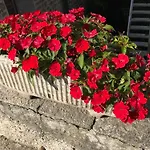 Ombrosa Apartament