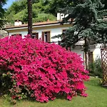 Apartament Ombrosa