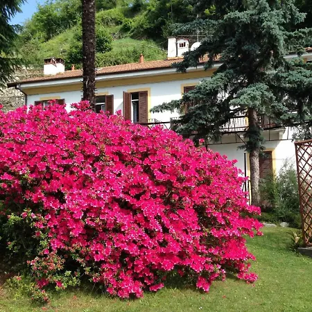 Apartment Ombrosa